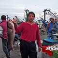 I pescatori di Trani non sanno più dove poter lavorare