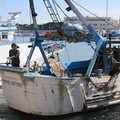 Maxi sequestro di pesce sul porto di Trani