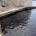 Porto, grosso sversamento di petrolio in mare