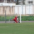Città di Trani-Nuova Daunia Foggia 2-0. I gol di Terrone e Lomuscio valgono i tre punti
