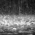 Allerta meteo arancione per rischio idrogeologico: previste ancora piogge per la giornata di venerdì