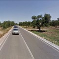 Provinciale Bisceglie-Andria chiusa al traffico dal 15 gennaio al 15 marzo