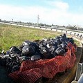 Sacchi di rifiuti abbandonati da tre settimane allo svincolo Trani Boccadoro