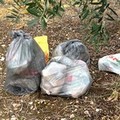 Aumentano i rifiuti abbandonati sulla Andria-Bisceglie