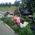 Discariche a cielo aperto sulla Sp12 Trani-Corato