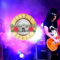 Fans N'Roses, ovvero Guns N'Roses Tribute band