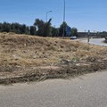 Rotatorie Trani-Andria, libere dall'erba infestante ma ricolme di rifiuti di ogni tipo