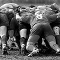 Rugby, Cosenza - Draghi Bat 37-10