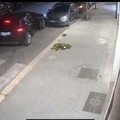 Inseguimento nella notte a Trani: due giovani identificati dopo lo schianto in centro