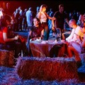 A Trani torna la “Notte delle Lanterne”: vino, cultura e sapori sotto le stelle