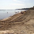 Trani, sabbia pulita per tutta l'estate