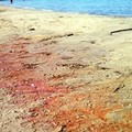 Costa di Trani, la seconda spiaggia si tinge di rosso