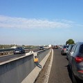 Incidente fra Trani e Bisceglie, traffico rallentato in 16 bis