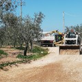 Iniziati i lavori sulle strade rurali di Trani