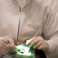 Studio Dentistico Italiano: ad Andria la cura dei denti professionale