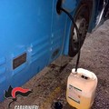 Succhiava il gasolio dai bus, arrestato pregiudicato tranese di 56 anni
