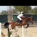 Equitazione, Ilaria Carrozza sul podio a Taranto