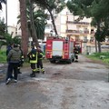Fiamme a Villa Bini, distrutta la casetta dei giochi