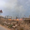 ULTIMA ORA | Trani, vasto incendio in Contrada Sant'Angelo: fumo visibile da tutta la città, rogo si espande verso la SS 16 bis
