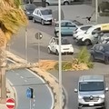 Palma crollata sul lungomare | L'agronomo Giovanni Guerra non fa sconti: "Altro che fatalità, la colpa è delle potature sbagliate "
