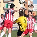 Finisce 0 a 0 tra Usc Trani - Libertas Molfetta