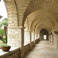 Italia Nostra | I giovani di Trani custodi del domani: al via “IN-SIEME PER IL PATRIMONIO”