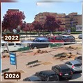 Verde pubblico a Trani, Centrone (Trani Libera): «Abbattimenti in Piazza Albanese frutto di 11 anni di incuria. Serve reale discontinuità»