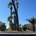 Trani, Piazza Plebiscito ritrova la sua voce: dopo 13 anni la fontana torna a zampillare