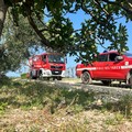 Incendi, per la Puglia un danno incalcolabile all'ecosistema