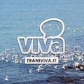 TraniViva cambia: nuova homepage, nuove apps