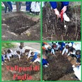 Tulipani di Puglia, la scuola Petronelli partecipa al progetto promosso da  "Terra Promessa " di Foggia