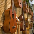 Suonare l'ukulele? Alla libreria Miranfù si può