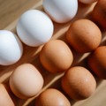 Uova e colesterolo: un nuovo studio smentisce la connessione