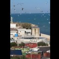 Crisi al Comune di Trani, ma a via dei Finanzieri l'emergenza non va in pausa: l'allarme dei residenti
