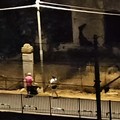 Degrado sociale in Via Verdi a Trani, murati gli accessi al rudere, resta senza risposta il destino del minore e degli adulti che vi trovavano riparo