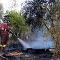 Vigili del fuoco, nella Bat manca la squadra per gli incendi boschivi