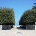 Alberi per il futuro, oggi in villa comunale la piantumazione di nuovi esemplari