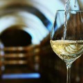 Vinificazione dei vini bianchi