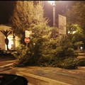 Forti raffiche di vento, diversi disagi in città
