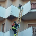 Anziana cade in casa, intervengono i Vigili del Fuoco