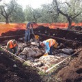 Dalla tragedia al capolavoro, ecco la scoperta di alcuni archeologi tranesi