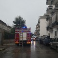 Anziana cade in casa in via Gualandi, non è grave