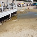 Spiaggia di Colonna in preda al degrado: la denuncia della consigliera Tolomeo