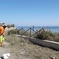 Costa, in corso lavori di bonifica in diverse spiagge di Trani