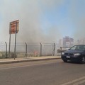 Nuovo incendio di sterpaglie a Trani Sant'Angelo: densa nube di fumo sul cavalcavia