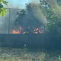 In fiamme un terreno in zona Boccadoro: coltre di fumo nero sovrasta l'intera area