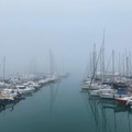 Un risveglio insolito: Trani immersa nella nebbia