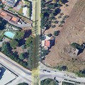 Legambiente Trani :  "Ogni giorno addio a un polmone verde "