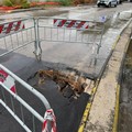 Via Martiri di Palermo cede manto stradale in prossimità dello svincolo 16bis Trani Sud