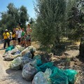 Oltre trenta sacchi di rifiuti raccolti nell'agro tranese: Legambiente rilancia la sfida contro gli abbandoni illeciti